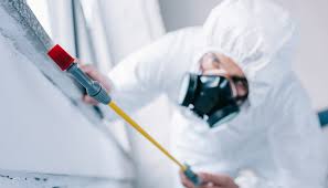 Best Fumigation Services  in Westfield, NJ